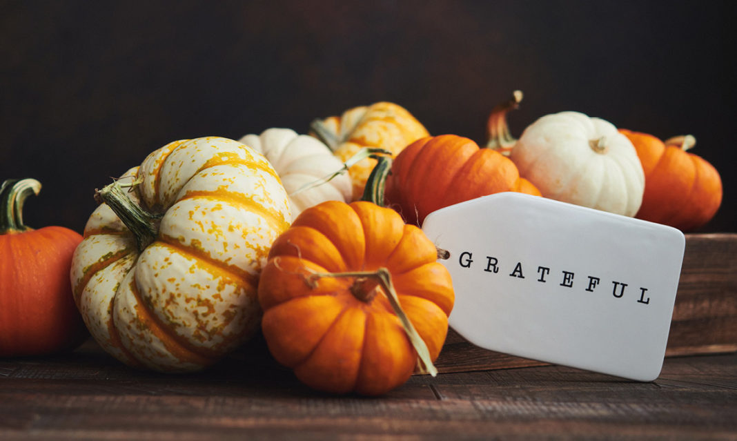 A pile of different color pumpkins with a tag that says grateful