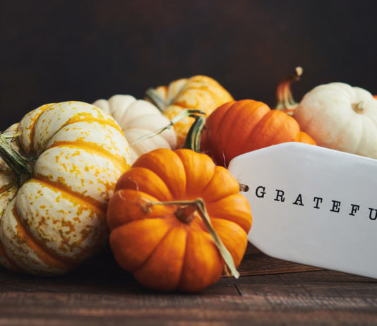 A pile of different color pumpkins with a tag that says grateful