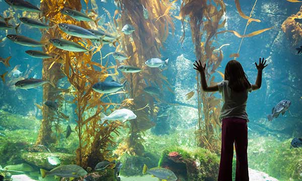 aquariums-in-michigan-and-ohio
