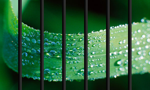 Photo by 2017 Art Birmingham artist Don Ament