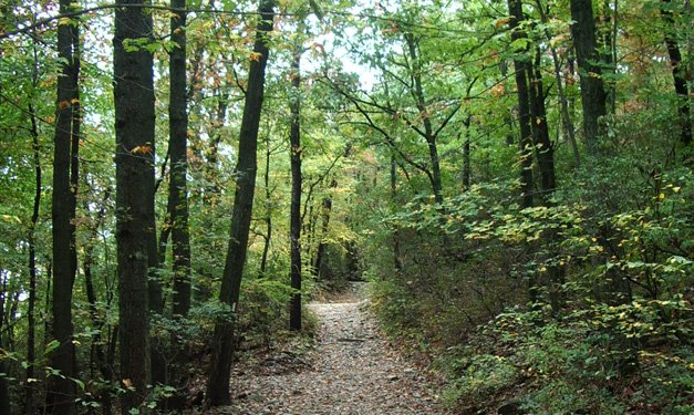 Kid-friendly hiking trails metro detroit