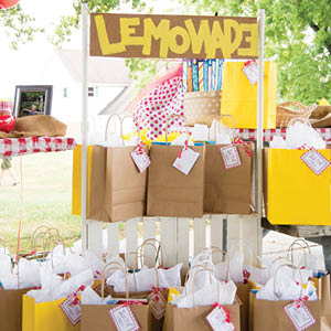 A PICNIC AT THE PARK