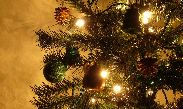 Choosing and Caring for Fresh-Cut Christmas Trees