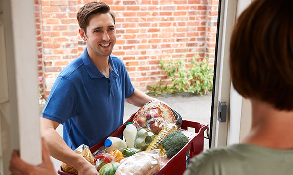 Grocery Delivery Services in Southeast Michigan