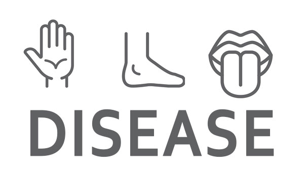 Hand, Foot and Mouth Disease: What Parents Should Know