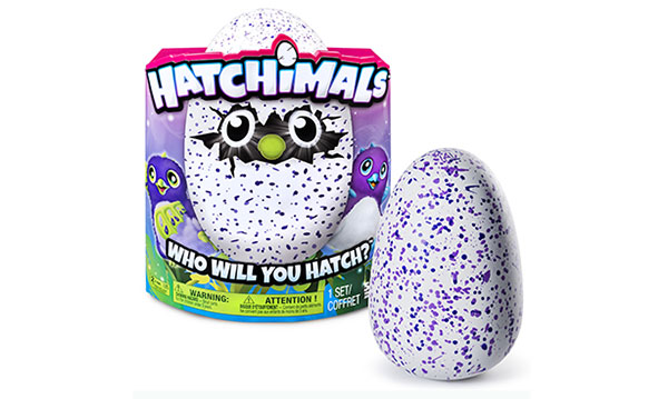 Do Hatchimals Swear in Their Sleep?