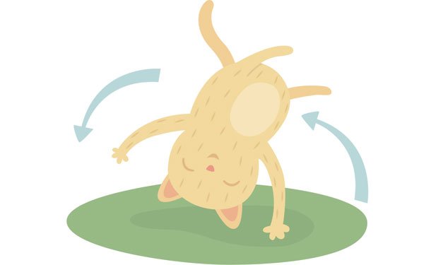 Illustration of a cat doing a cartwheel
