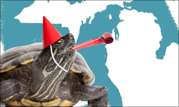 Painted turtle in a party hat celebrating Michigan's birthday