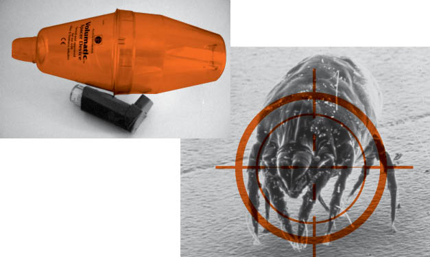 Tips for Helping Kids Control, Overcome Asthma