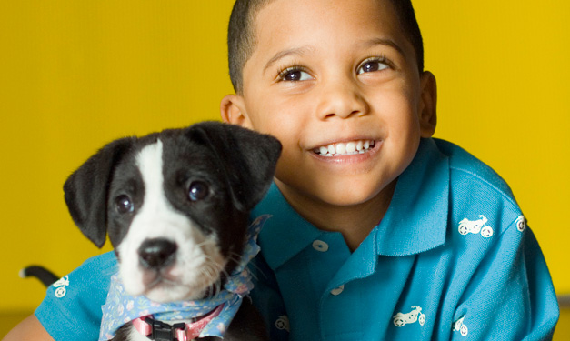 How to Pick a Pet for Your Family