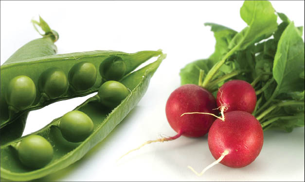 Three peas and a bundle of radishes on a white surface
