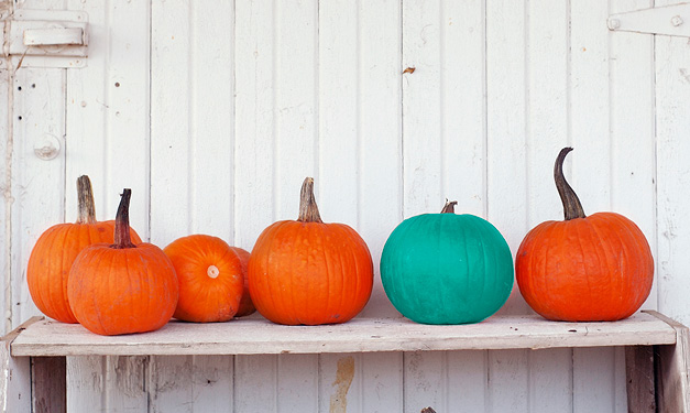 teal-pumpkin-project-istock
