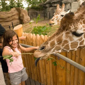 best things to do with kids metro detroit