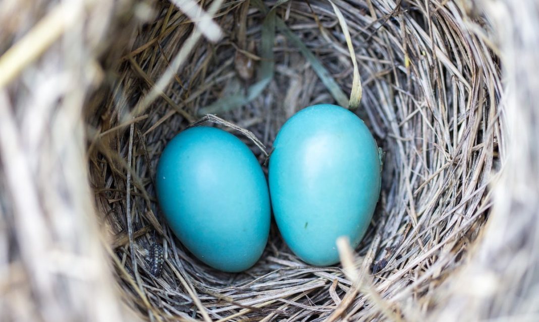 autism-expenses-save-for-future