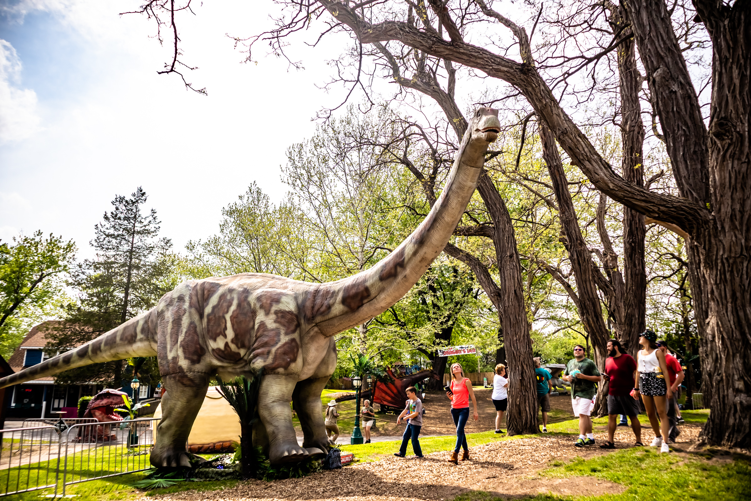 Dino and Dragon Stroll