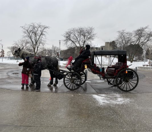 Winter at Valade along the Detroit Riverfront