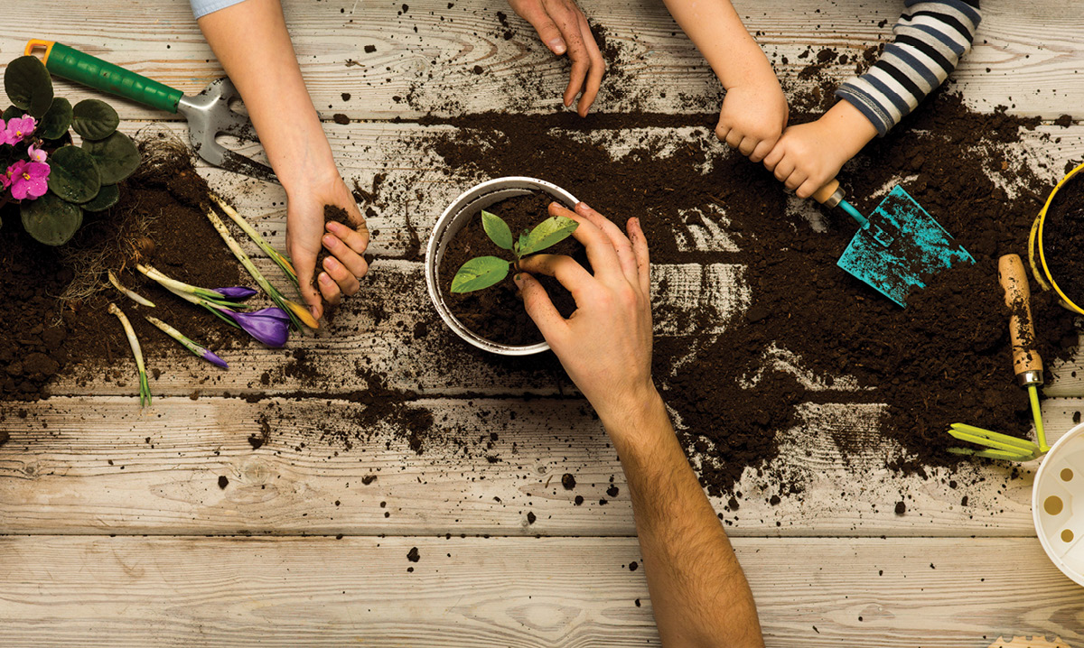 three-plants-kids-can-grow