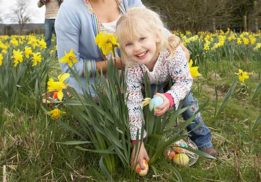 egg-hunts-in-southeast-michigan-istock