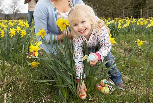 egg-hunts-in-southeast-michigan-istock