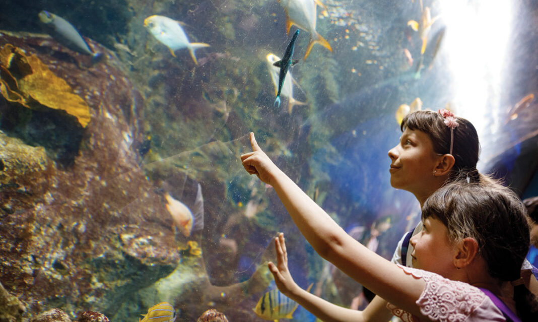 summer-routine-autism