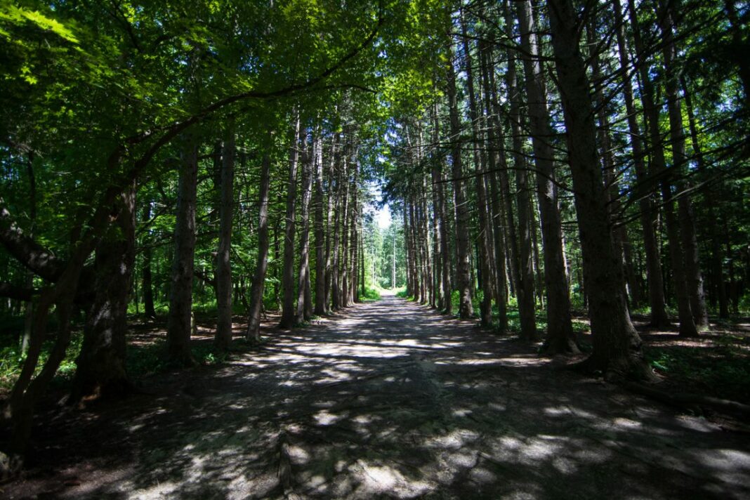 Stony Creek Metropark with kids