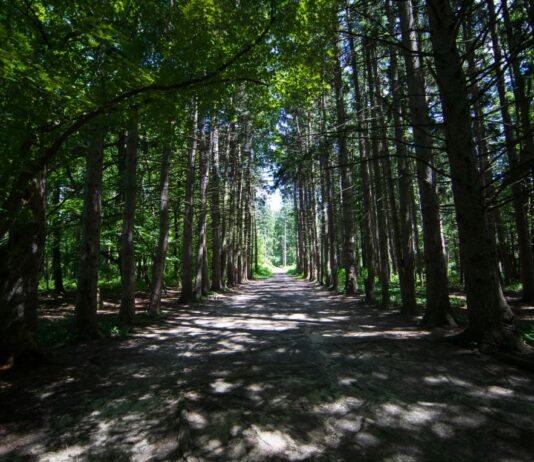 Stony Creek Metropark with kids