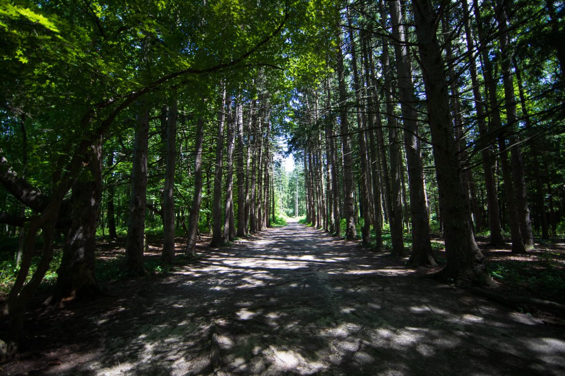 Stony Creek Metropark with kids