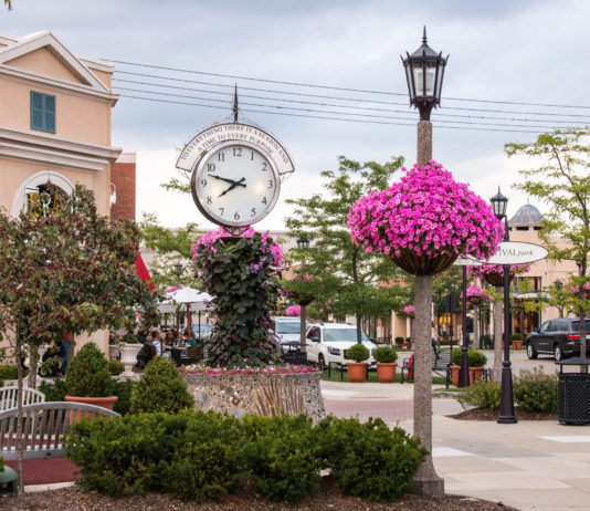 Village of Rochester Hills