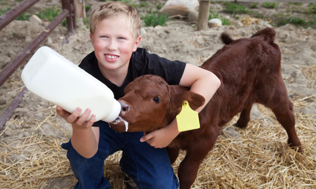 4-h-in-macomb-county-istock-livingimages