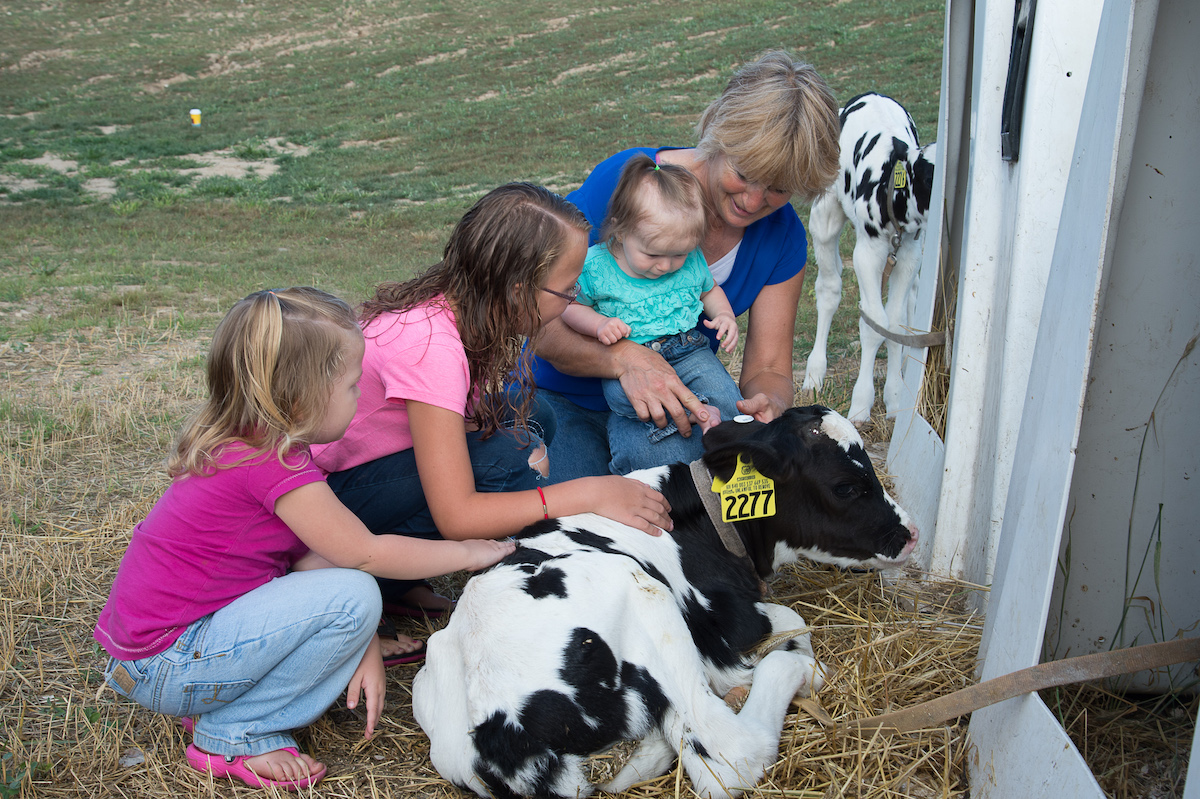 A family visiting dairies in Michigan, including children and an adult interacting with a calf resting on straw bedding, highlighting farm life and agricultural education.