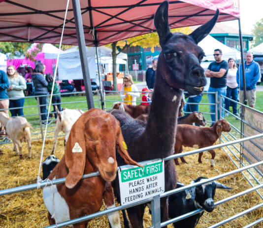 Pumpkins, Pirates and Princesses at Canterbury Village in Lake Orion