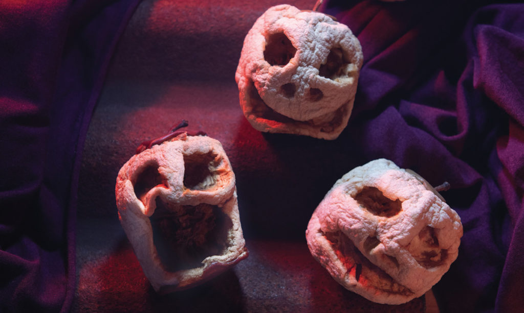 shrunken-apple-heads-lauren-jeziorski