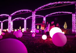 Winter Wonder Lights