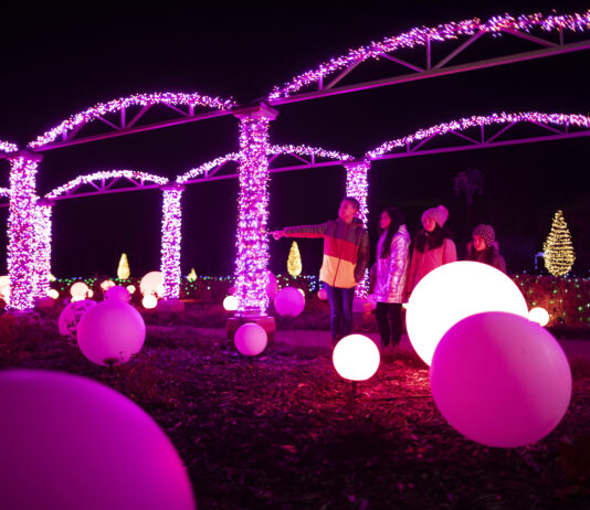 Winter Wonder Lights at Meadow Brook Hall in Rochester Winter Wonder Lights