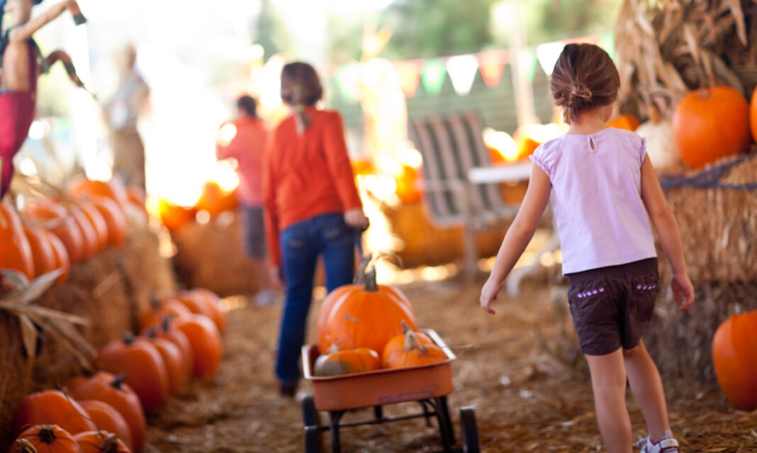 A child pulls a wagon filled with pumpkins through a festive fall market, surrounded by bright orange gourds and hay bales — a cozy autumn scene full of family fun.
