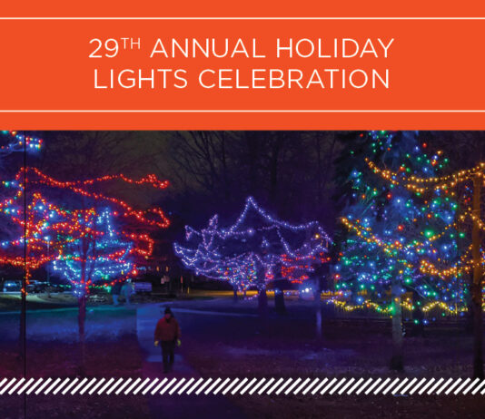 29th Annual Holiday Lights Celebration