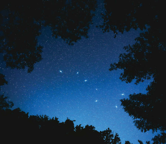 Virtual Pajama Story Time with Royal Oak Public Library indoor-outdoor-space-themed-activities