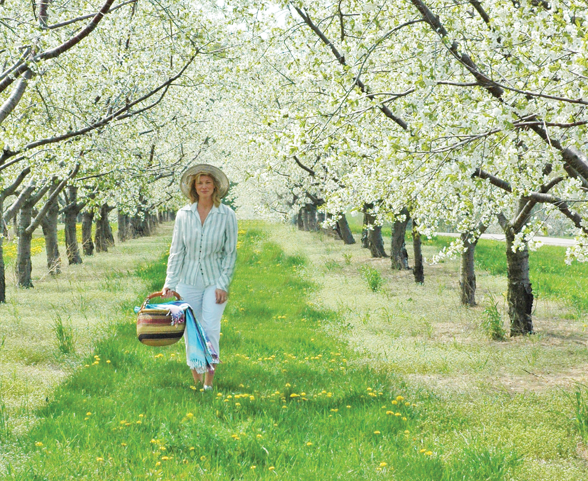 family-activities-in-traverse-city