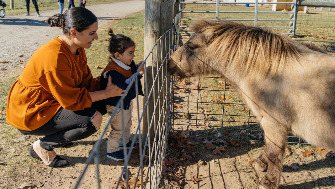 local farms in metro detroit