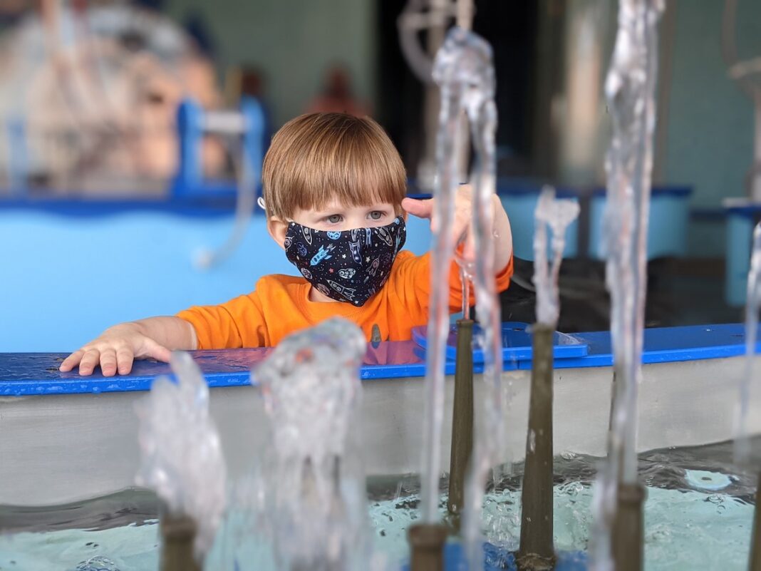 things-to-do-in-lansing