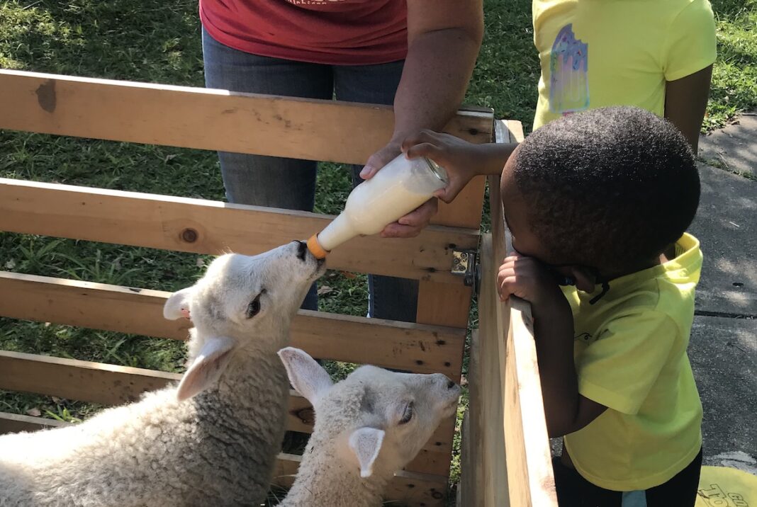 ypsilanti-community-schools