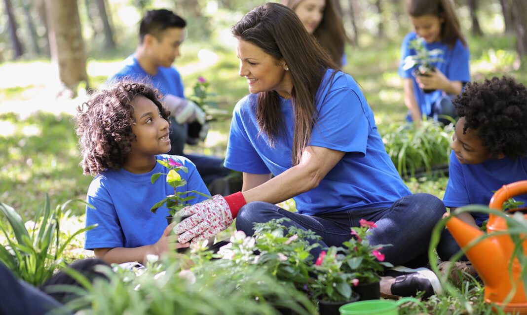 what-is-the-green-macomb-initiative-istock-fstop123