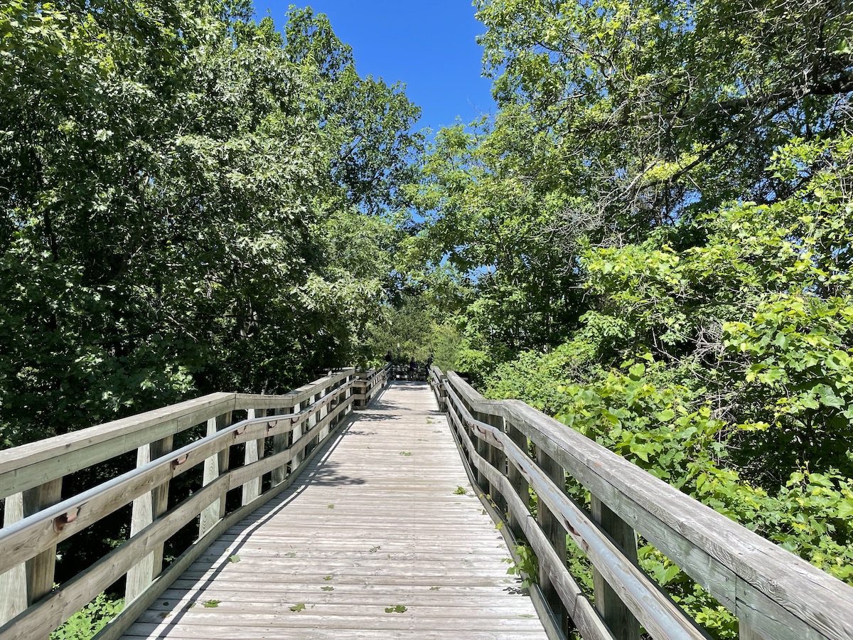 pinery-provincial-park