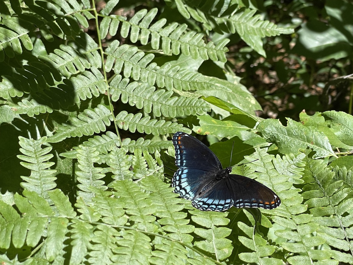 pinery-provincial-park