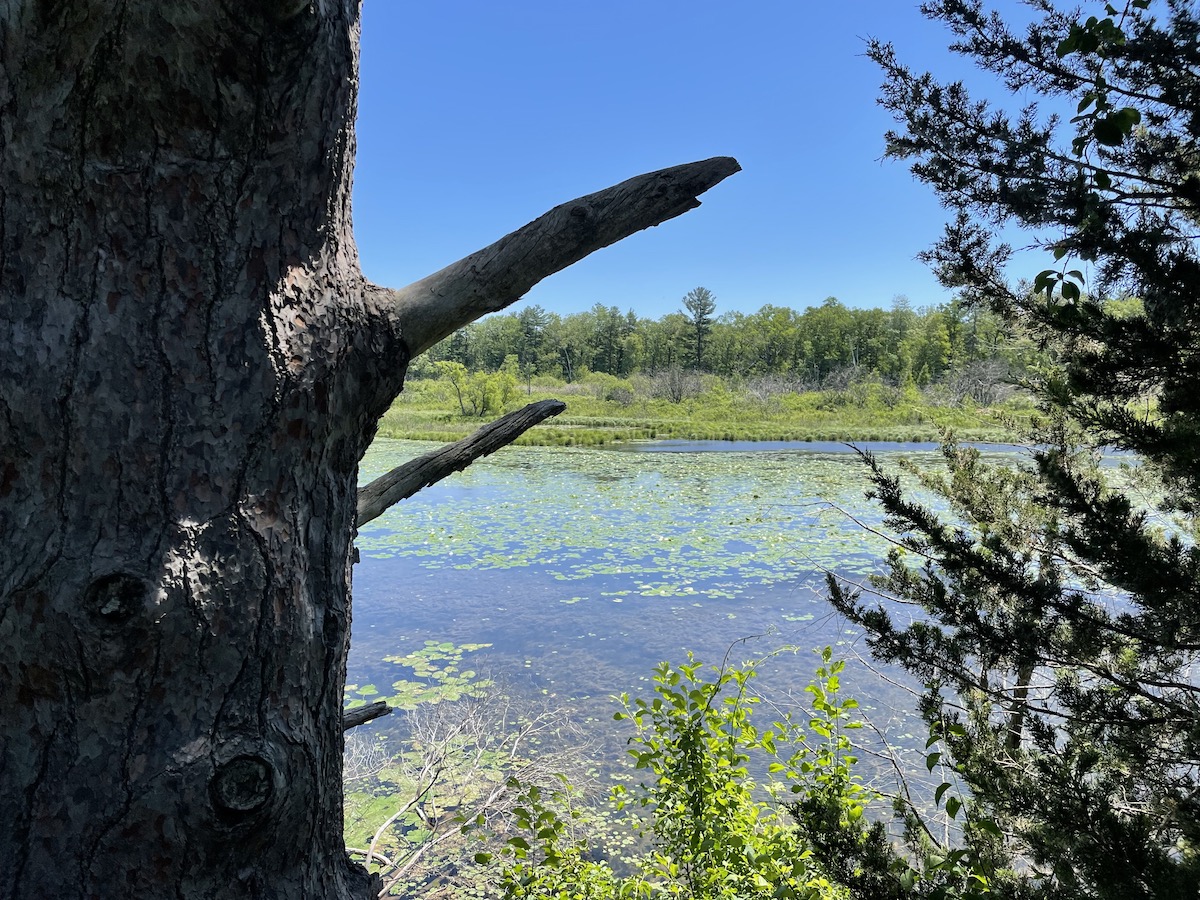 pinery-provincial-park