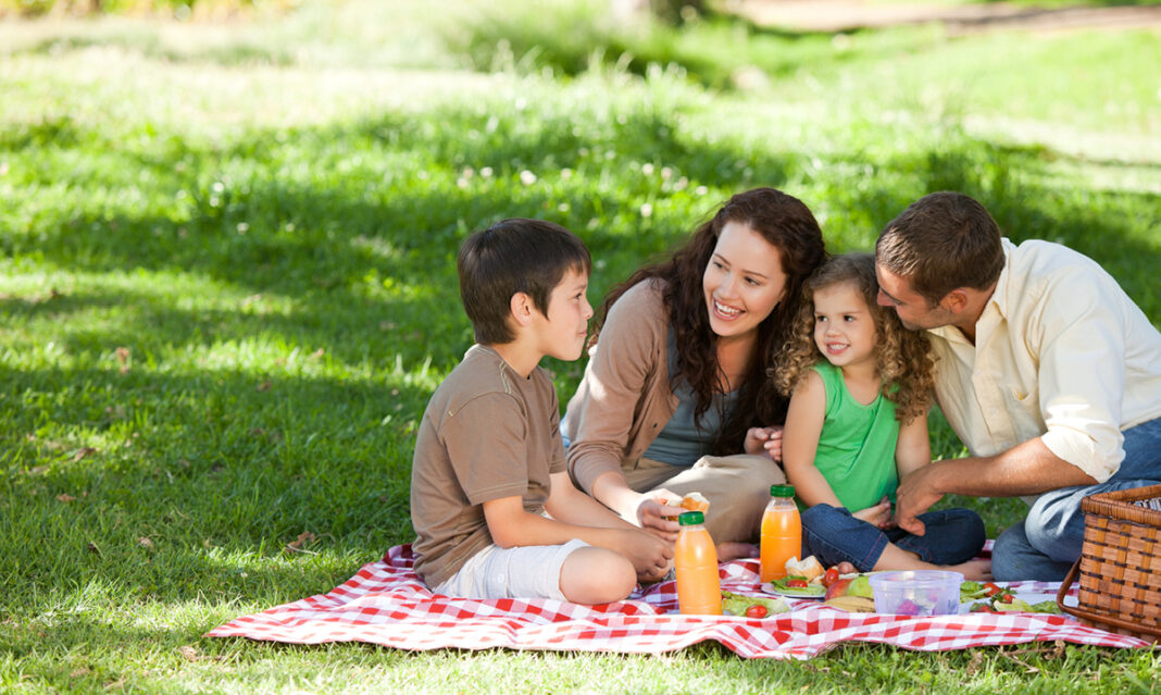 places-to-have-a-picnic-macomb-county-istock-wave-break-media