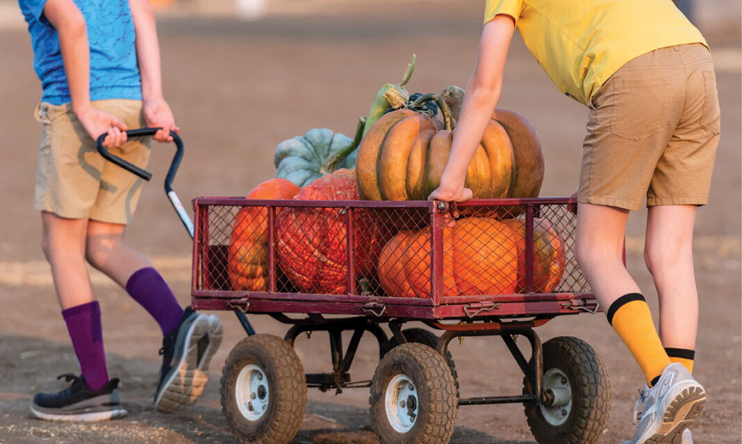 multisensory-activities-to-help-ease-back-to-school