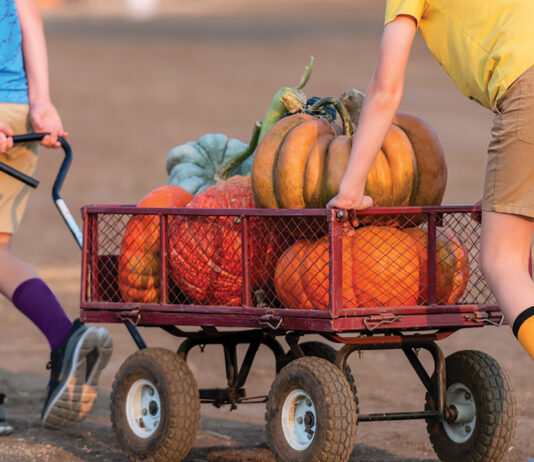 multisensory-activities-to-help-ease-back-to-school