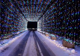 Magic of Lights at Pine Knob