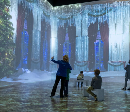 The Immersive Nutcracker: A Winter Miracle at Lighthouse ArtSpace Detroit
